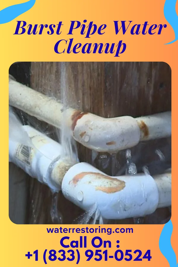 Burst Pipe Water Cleanup in White City, UT